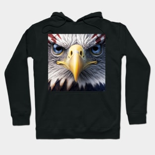 USA, Bald Eagle, America, American Flag, Hoodie